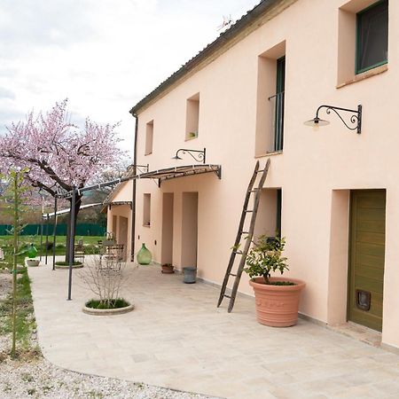 B&B Le Rondini Ostra Senigallia Casine  Екстериор снимка