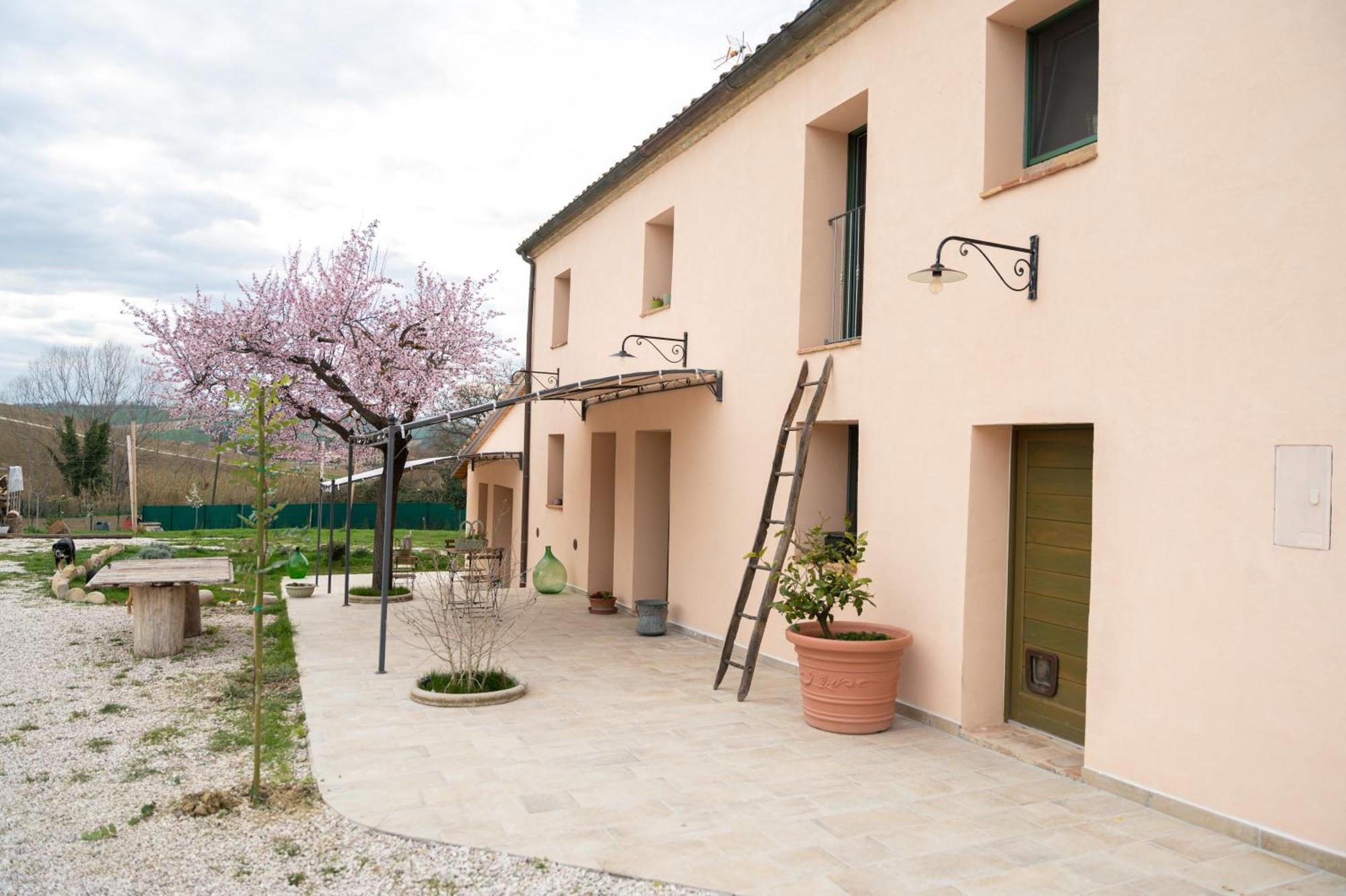 B&B Le Rondini Ostra Senigallia Casine  Екстериор снимка