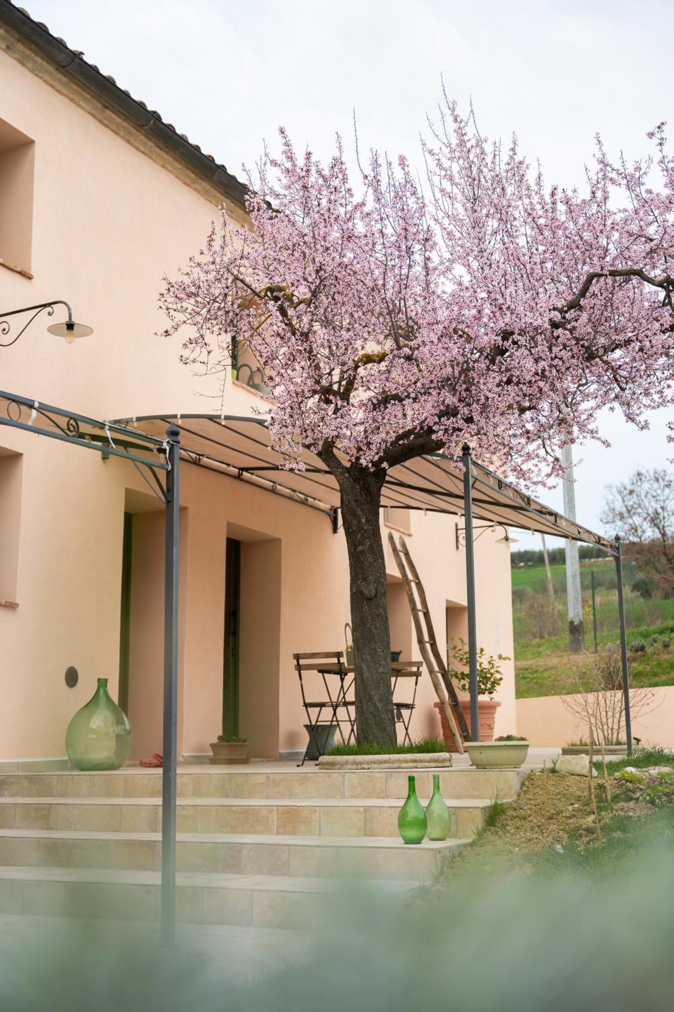 B&B Le Rondini Ostra Senigallia Casine  Екстериор снимка